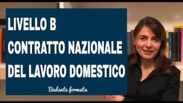 Video CONTRATTO NAZIONALE COLLETTIVO DEL LAVORO DOMESTICO LIVELLO B su italiano