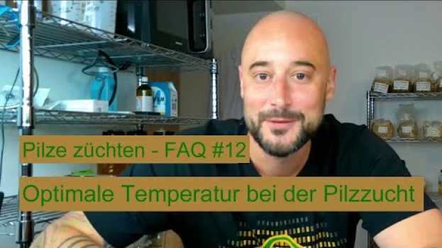 Video Pilze züchten - Welche Temperatur für die Pilzzucht? Pilzzucht FAQ #12 su italiano