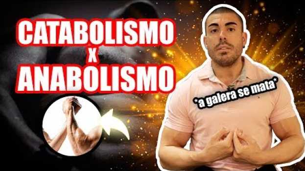 Video Anabolismo x Catabolismo *tudo sobre* su italiano
