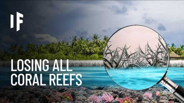 Video What If Earth Lost All Its Coral Reefs? su italiano