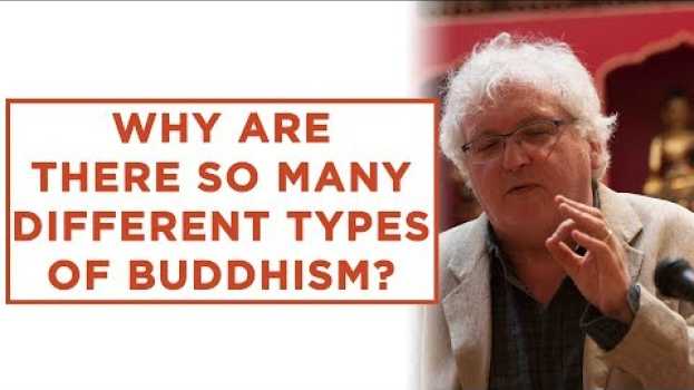 Video Why are there so many different types of Buddhism? in English