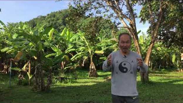 Video Dlaczego warto uczestniczyć w Treningu Medytacyjnym w Tajlandii? en français