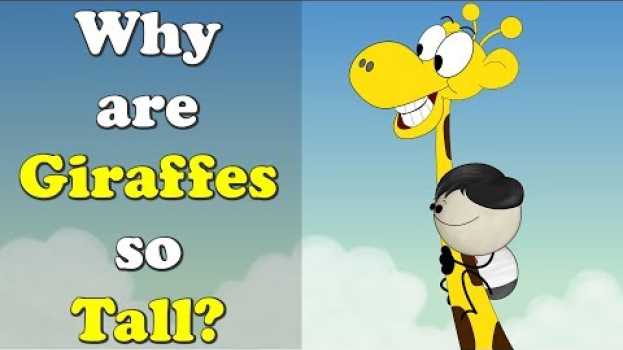 Video Why are Giraffes so Tall? + more videos | #aumsum #kids #science #education #children em Portuguese