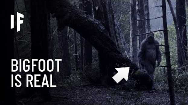 Video What If Bigfoot Actually Exists? su italiano
