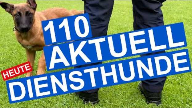 Video Diensthund - 110 Aktuell! - Ihre Polizei in 110 Sekunden I Polizei NRW Essen su italiano
