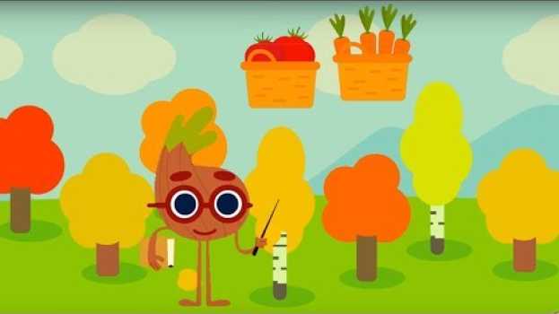 Video La cipollina intelligente - I colori dell'autunno e gli alberi em Portuguese