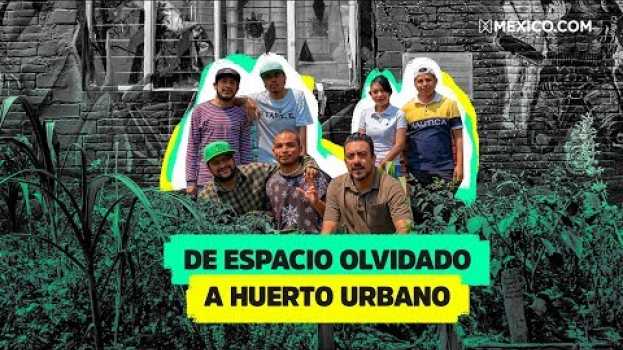 Video Ellos buscan que Iztapalapa pase de ‘foco rojo’ a gran área verde (Huerto urbano Acatitlan) em Portuguese