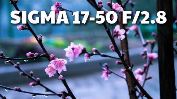 Video Lente Sigma 17-50mm - Review e Comparação com Canon - Será que vale o preço? en français