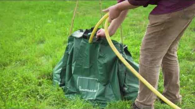 Video Kann man auch Hecken und Sträucher mit einem Baumbewässerungbeutel bewässern? | baumbad Bewässerung su italiano