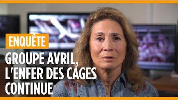 Video La Fondation 30 Millions d’Amis et L214 demandent au groupe Avril de s’engager en français