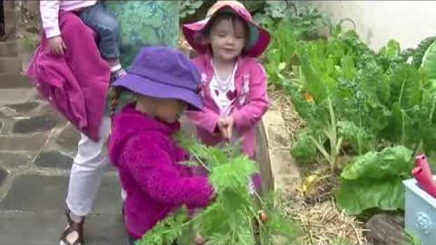 Video Connecting with practice: Enjoying the vegetable garden en Español
