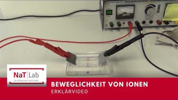 Video Erklärung zur Beweglichkeit von Ionen – die "Ionenwanderung" in English