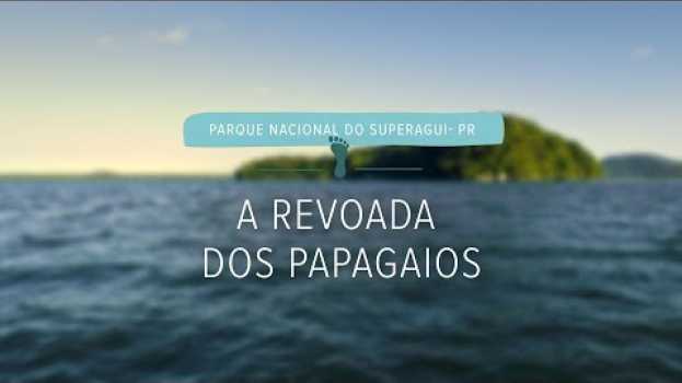 Video A revoada dos papagaios | Parque Nacional do Superagui (episódio 3) en Español