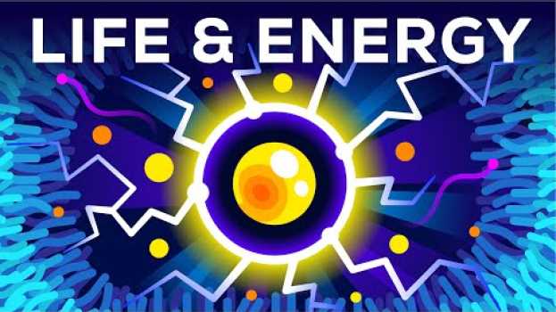 Video Why Are You Alive – Life, Energy & ATP en français