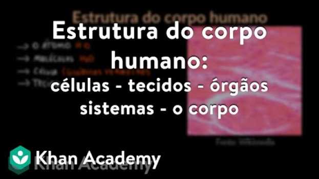 Video Estrutura do corpo humano: células - tecidos - órgãos - sistemas - o corpo en français