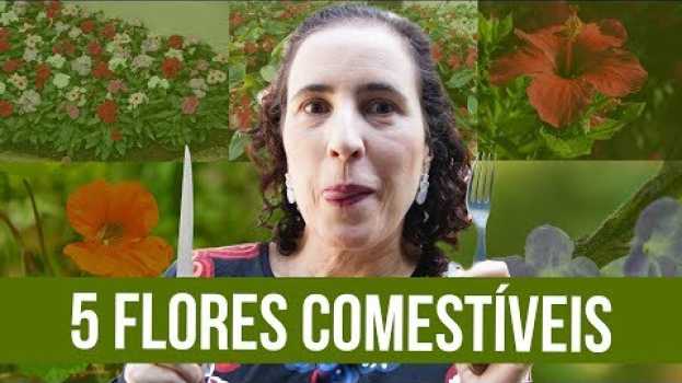 Видео 5 Flores Comestíveis que Você Precisa Experimentar | Nô Figueiredo на русском