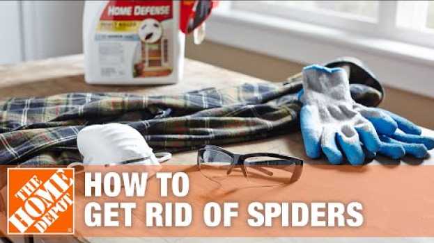 Video How to Get Rid of Spiders in Your House | The Home Depot en Español