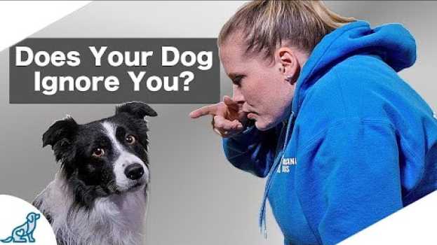 Video Are You Accidentally Being A BAD Leader For Your Dog? in English