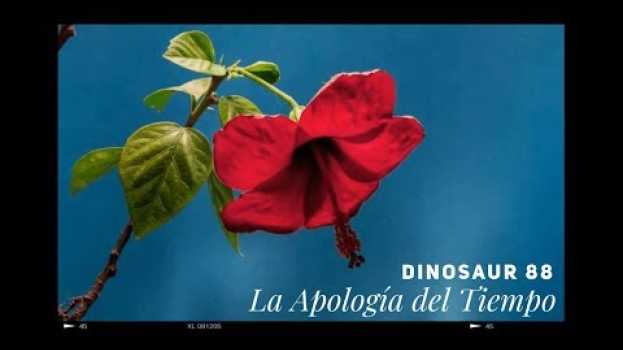 Video Dinosaur 88 - La Apología del Tiempo su italiano