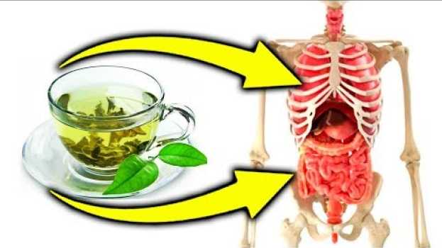 Video Вот что с Вами случиться, если пить зеленый чай. Опасность и польза чая na Polish