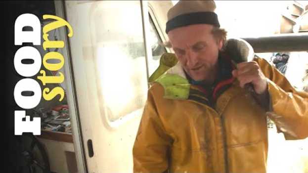 Video Quand y a pas de poisson c’est la dèche pour les pêcheurs na Polish