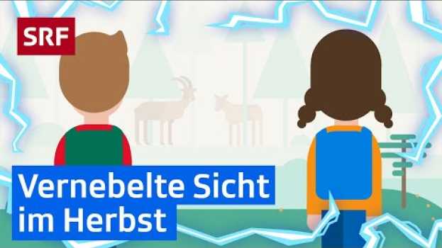 Видео Was ist Nebel und wie entsteht er? | Erklärvideos für Kinder | SRF Kids – Kindervideos на русском
