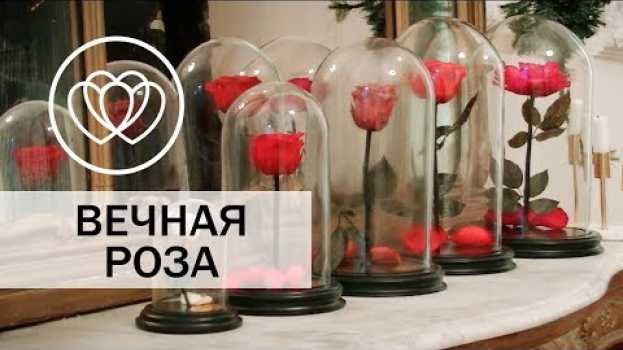 Видео Что такое роза в колбе и в чем ее секрет? на русском
