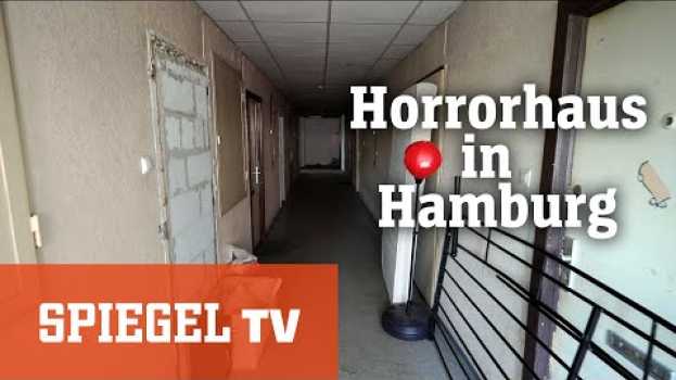 Видео Horror-Haus in Hamburg: Leben zwischen Schimmel und Dreck | SPIEGEL TV на русском