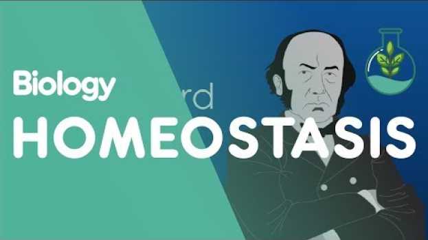 Video What is Homeostasis? | Physiology | Biology | FuseSchool em Portuguese