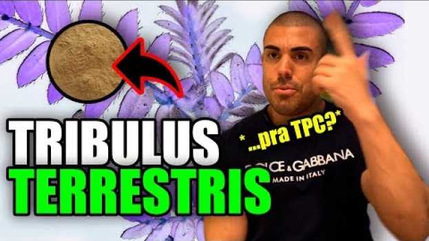 Видео Tudo sobre tribulus terrestris на русском