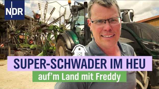 Video Freddys wichtigste Zeit: Hochsaison für die Tierfutter-Ernte | Folge 7 | NDR auf'm Land na Polish