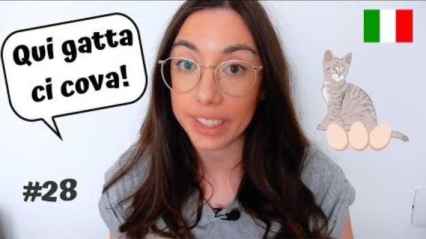 Video ITALIAN IDIOMS #28 - Qui gatta ci cova em Portuguese
