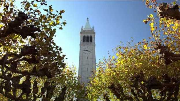 Video That's Berkeley su italiano