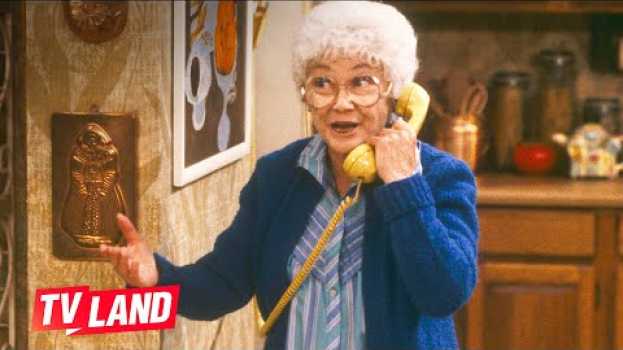 Video 'Finally, Someone She Can Talk To!' The Best of Sophia Petrillo: Part 2 | The Golden Girls en français