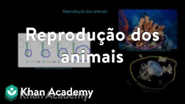 Video Reprodução dos animais in English
