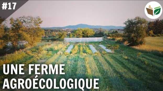 Video Une ferme maraîchère agroécologique, les Jardins du Héron - FTD #17 in Deutsch