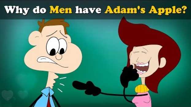 Video Why do Men have Adam's Apple? + more videos | #aumsum #kids #science #education #children en français