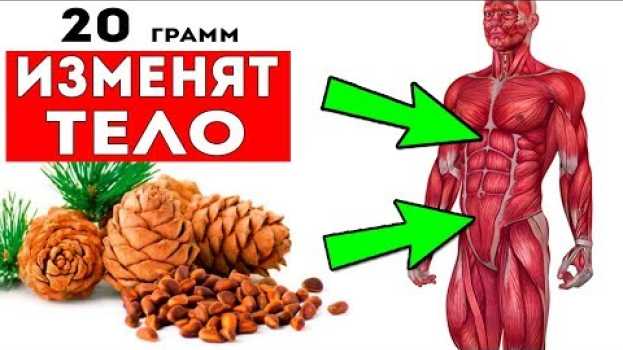 Видео ВОТ КАК КЕДРОВЫЙ ОРЕХ ИЗМЕНИТ ТВОЕ ТЕЛО! Знаете ли вы, сколько можно съедать таких орехов в день? на русском