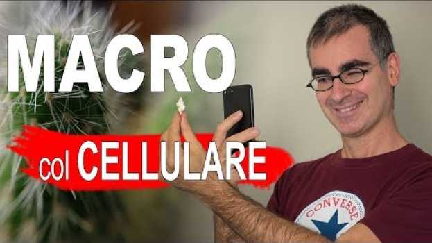 Video Foto Macro col Cellulare: come fare Foto BELLE anche senza Lenti Macro per Smartphone em Portuguese