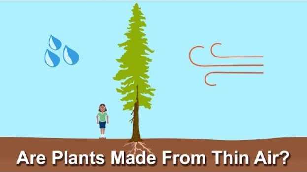 Video Are Plants Made From Thin Air? su italiano