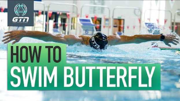 Video How To Swim Butterfly | Technique For Butterfly Swimming in English