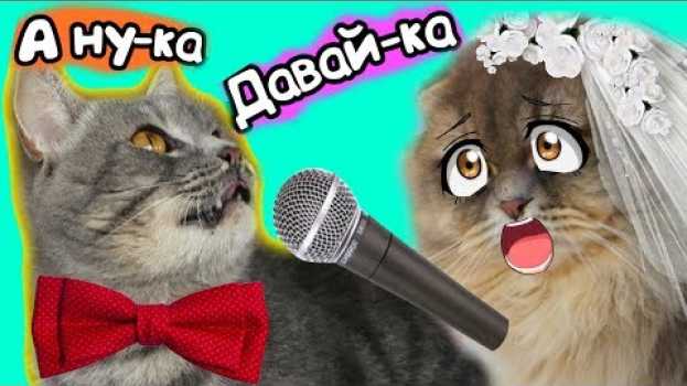 Video А ну-ка Давай-ка песня кота Макса. Премьера клипа. em Portuguese