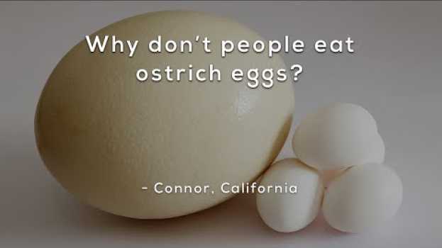 Video Why don't people eat ostrich eggs? en Español