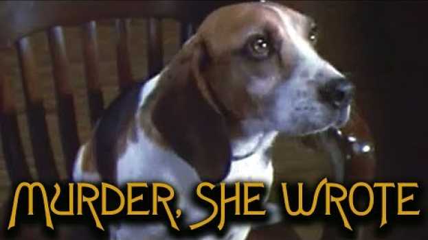 Video That Time Murder, She Wrote's Murderer Was a Dog in English