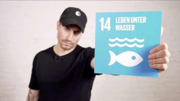 Video Was verbirgt sich hinter "SDG #14 Leben unter Wasser"? em Portuguese