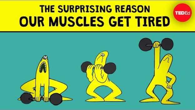 Video The surprising reason our muscles get tired - Christian Moro su italiano