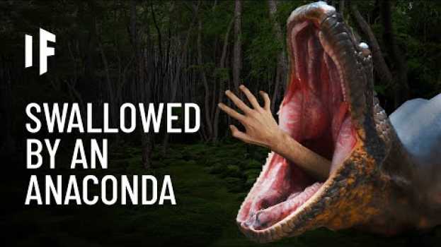 Video What If You Were Swallowed by an Anaconda? em Portuguese