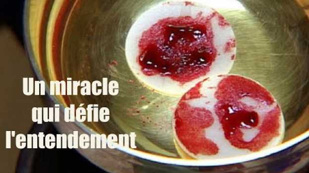 Video Ce miracle eucharistique que la science ne peut expliquer in English