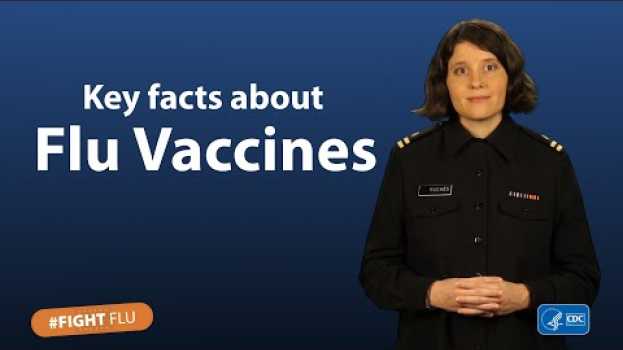 Video Key Facts about Flu Vaccines en français
