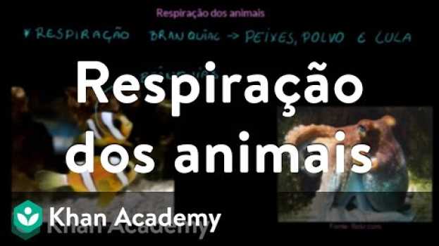 Video Respiração dos animais en français